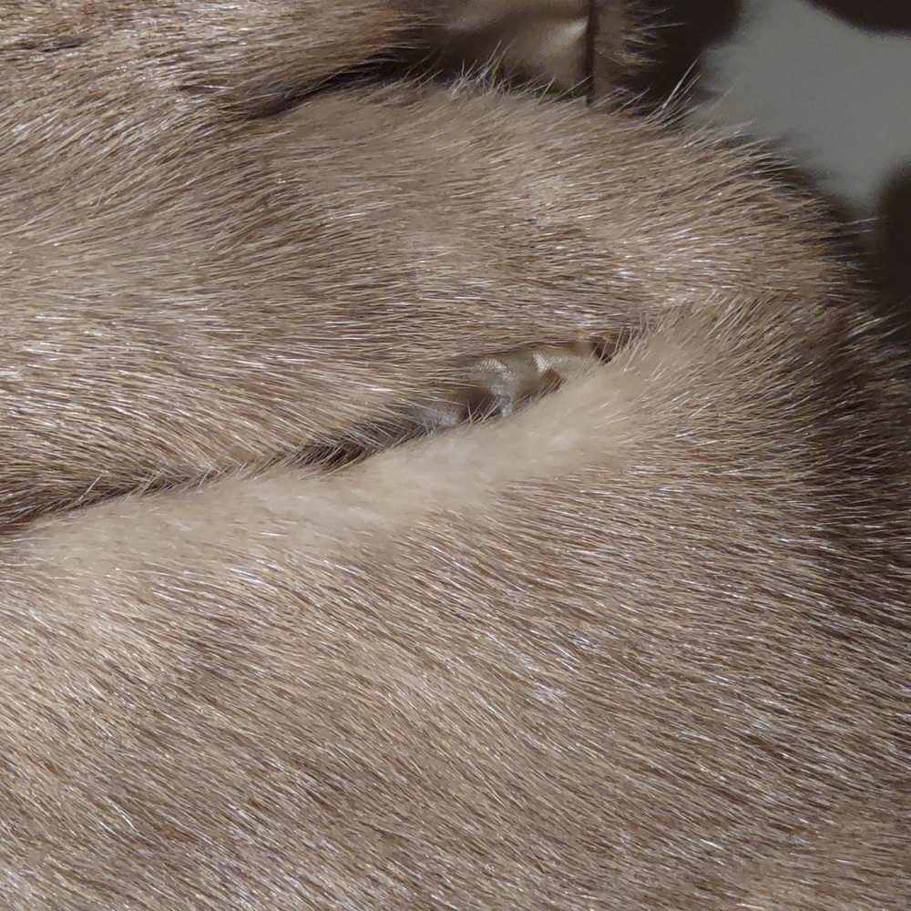 Mink Fur Jacket Wrap Blonde Vintage Rodeo Winter Montana Colorado Vacation - Picture 5 of 11